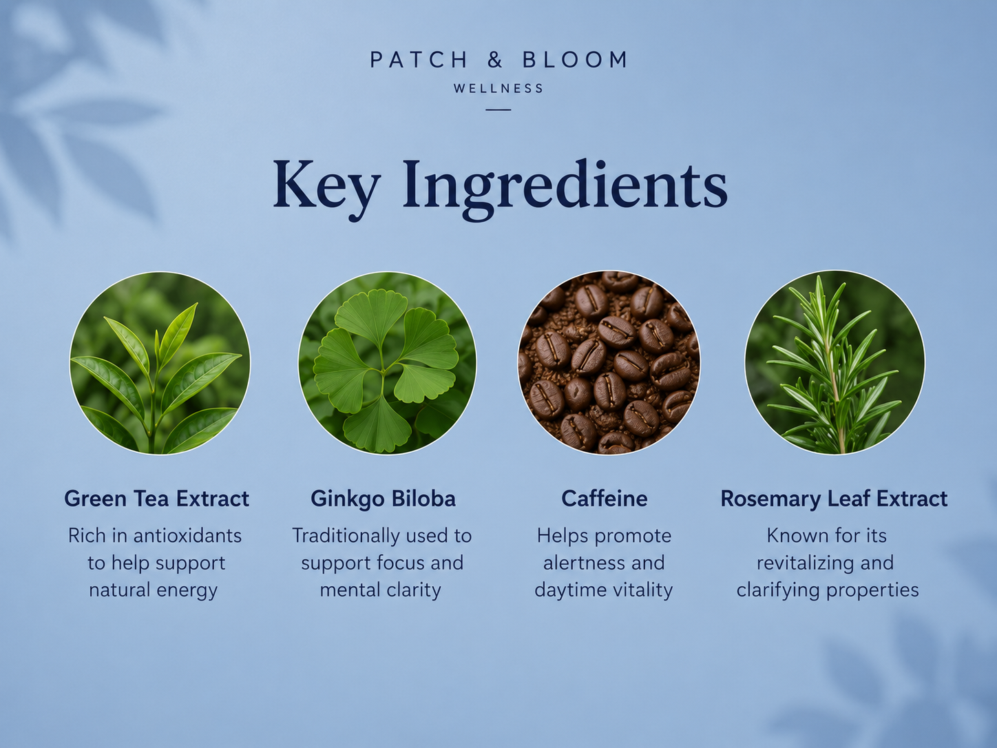 RESET — Refreshing Botanical Patch